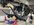 BB917CEB-BC0C-43B5-B56A-E2E963C646D7.jpeg