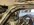 IMG_3066.jpeg