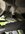 IMG_3891.jpeg