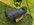 IMG_3881.jpeg
