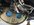 IMG_3885.jpeg