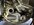 IMG_3886.jpeg
