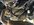 IMG_3888.jpeg