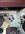 IMG_8602.jpeg