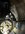 IMG_3889.jpeg