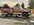 IMG_8618.jpeg