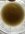 IMG_4764.jpeg