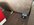 IMG_3598.jpeg