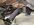 IMG_8344.jpeg