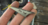1755534877821.png