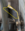1755568566603.png