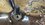 IMG_9030.jpeg