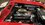 IMG_9034.jpeg