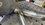 IMG_0642.jpeg