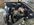 IMG_3325.jpeg
