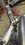IMG_0652.jpeg