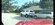 IMG_2717.jpeg