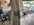 IMG_3070.jpeg