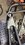 IMG_0667.jpeg