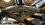 IMG_0666.jpeg