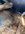 IMG_4810.jpeg