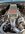 IMG_6742.jpeg