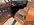 IMG_3690.jpeg