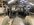 IMG_0436.jpeg