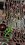 IMG_20250825_184551799_HDR~3.jpg