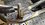 IMG_0702.jpeg
