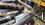 IMG_0705.jpeg