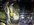 IMG_1631.jpeg
