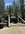 IMG_1668.jpeg