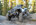 IMG_1939.jpeg