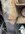 IMG_1940.jpeg