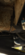 IMG_1941.png