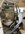 IMG_0454.jpeg