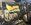 IMG_6880.jpeg
