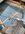 IMG_4828.jpeg