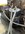 IMG_6511.jpeg