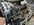 IMG_6512.jpeg