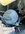 IMG_6514.jpeg