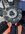 IMG_9548.jpeg