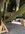 IMG_3961.jpeg