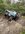 IMG_8186.jpeg
