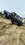 IMG_8188.jpeg