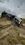 IMG_8184.jpeg