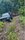 IMG_8182.jpeg