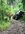 IMG_0306.jpeg
