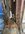 IMG_8923.jpeg
